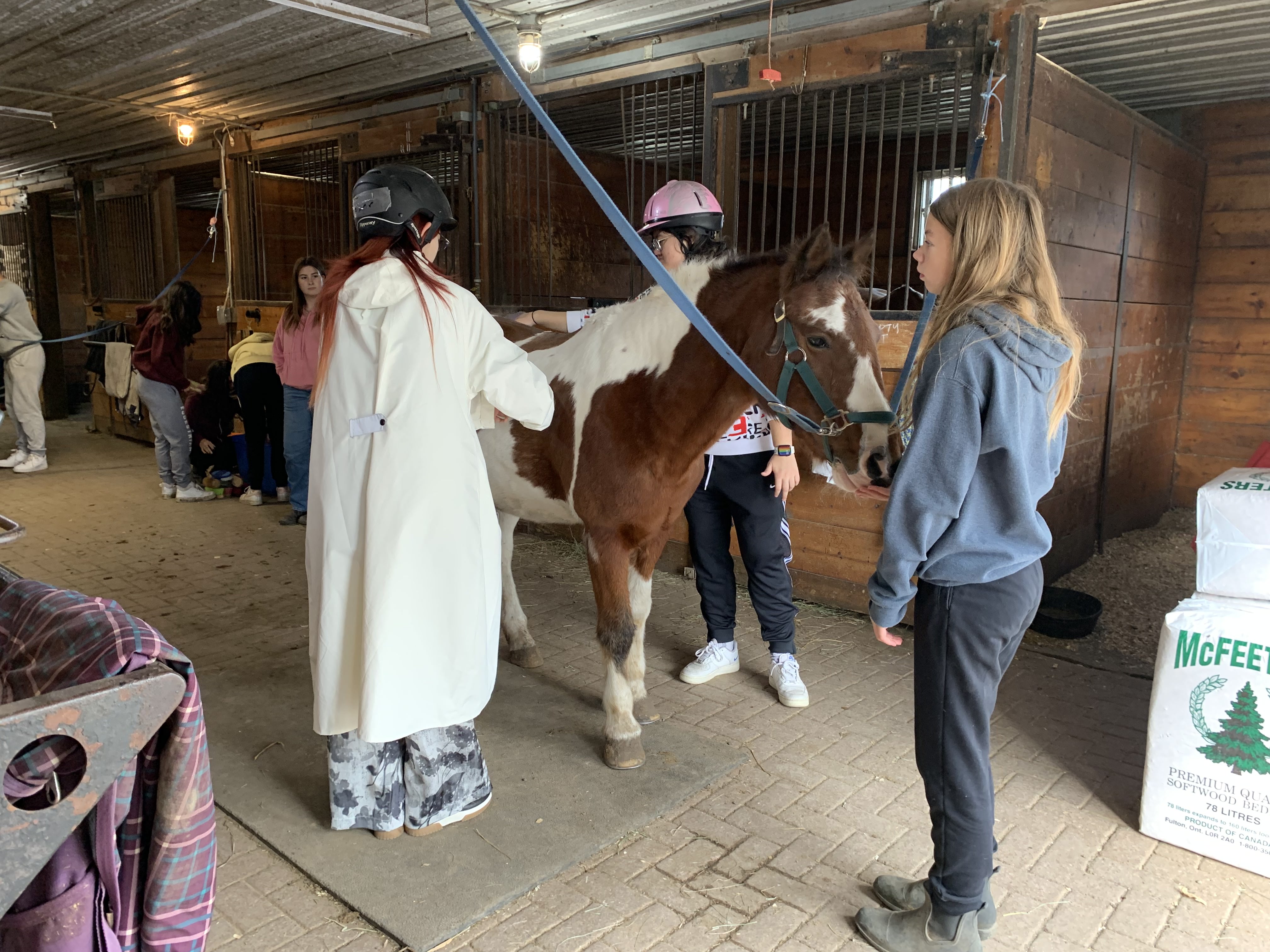 Horse Riding — photo 17